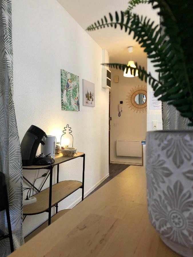 Equateur-Centre Jaude Apartment Clermont-Ferrand Bagian luar foto